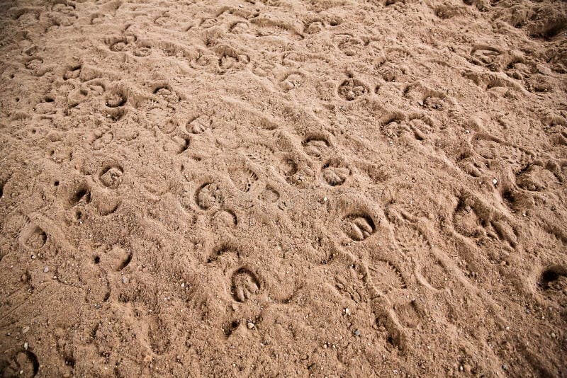 Horseshoe Print on the Ground Stock Image - Image of road, detail