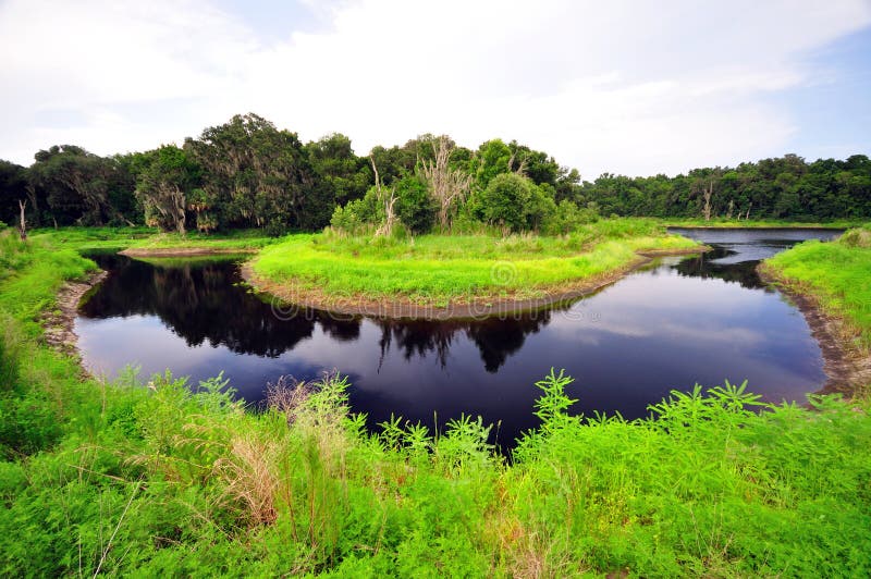Horseshoe River Bend at Paynes Prairie stock images Horseshoe River Bend at Paynes Prairie stock images