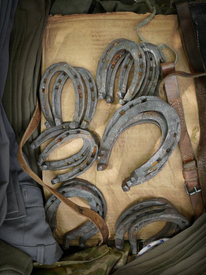 Horseshoes stock photo. Image of leather, farm, horse 19071708