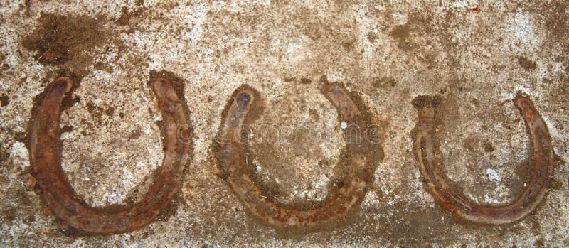 Horseshoes in Concrete stock photo. Image of metal, stable - 14691632