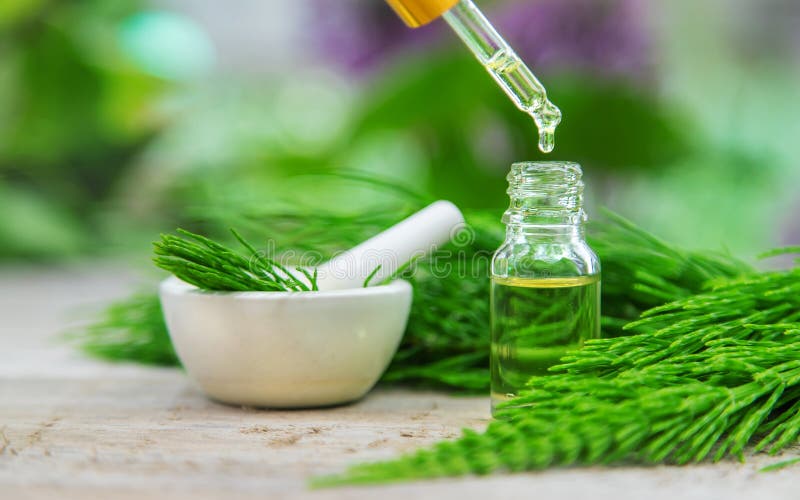 Horsetail Extract in a Small Bottle. Selective Focus Stock Image