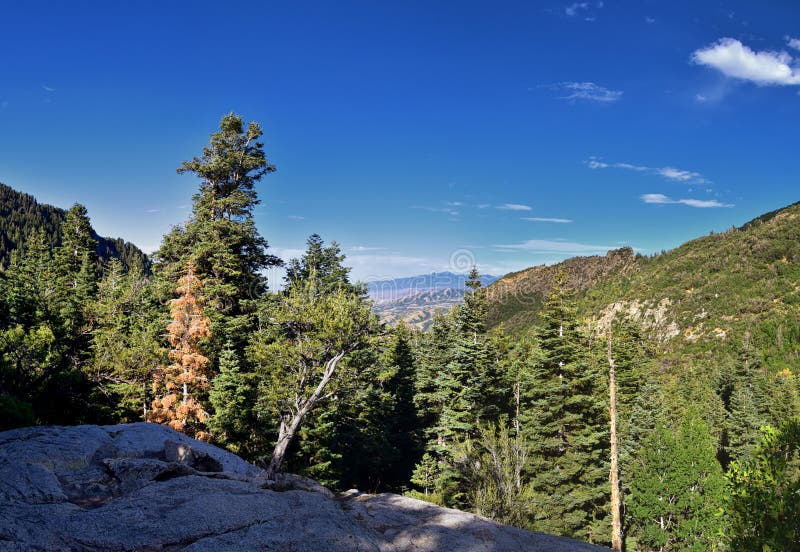 horsetail-falls-valley-views-backpacking-trails-dry-creek-canyon-lone-peak-wilderness-along-wasatch-front-rocky-260223529.jpg