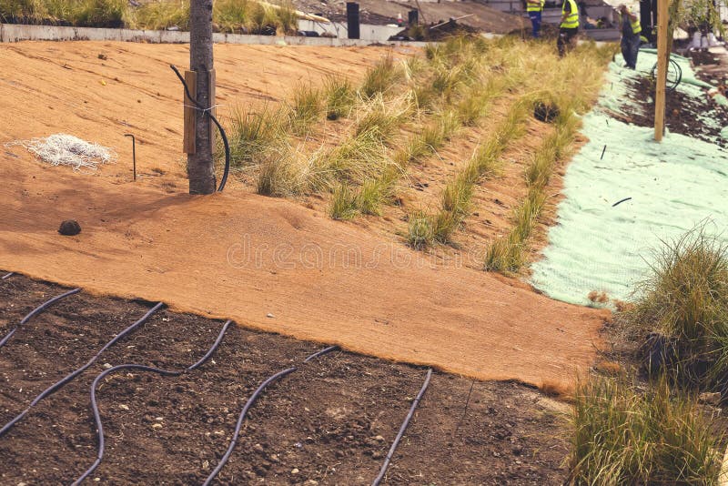 Horticultural Solution with Irrigation for Plants 2 Stock Image Image