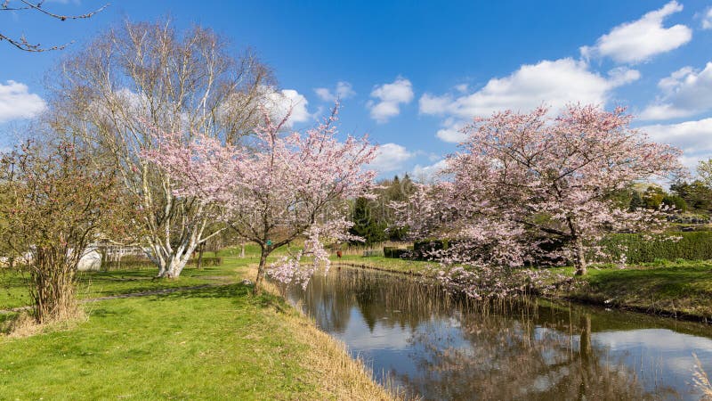 Hortus Botanicus Haren the Netherlands Stock Image - Image of botany ...