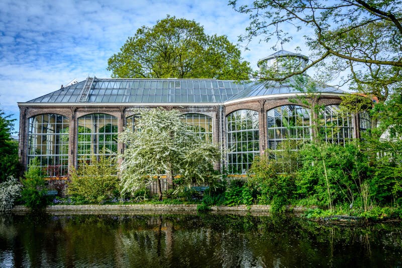 Hortus Botanicus, Άμστερνταμ στοκ φωτογραφία