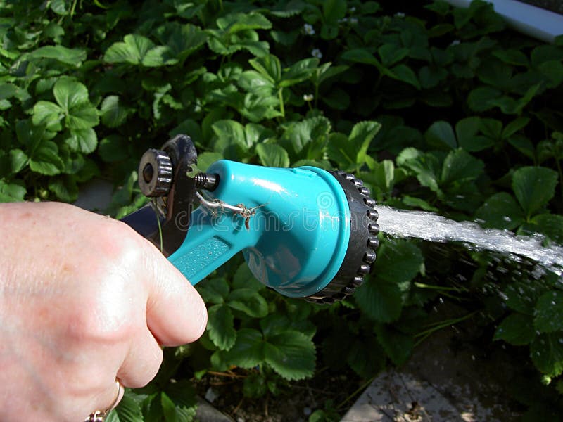 Hose bib and pipe wrench stock image. Image of handy, knob 4437357