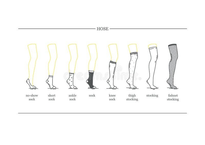 Types Of Socks Set. No-show, Low-cut, Extra Low-cut, Quarter, Mid-calf,  Over The Calf, Knee Socks. Design Socks Set Vector Illustration. Stock  Photo, Picture and Royalty Free Image. Image 109248088.