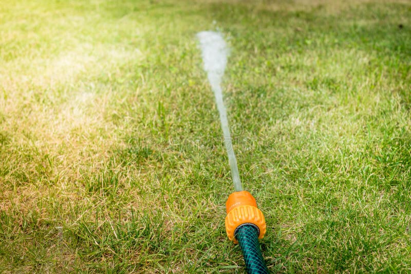Hose with Water Jet/ Hose with Water Pressure on the Grass Stock Photo