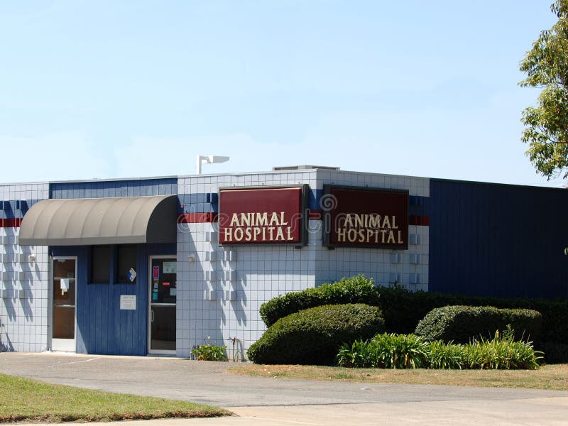 download animal hospital download animal hospital