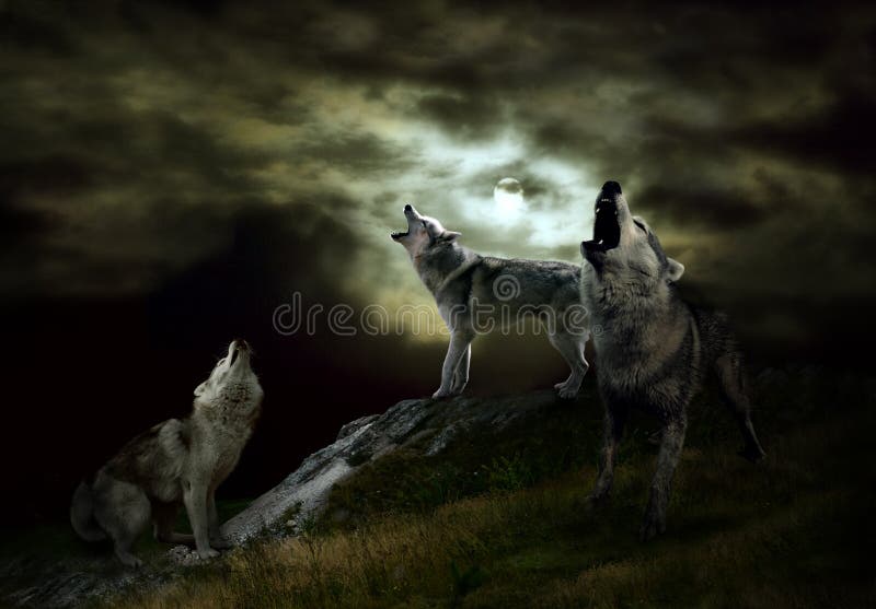 The hosts of the night are wolves