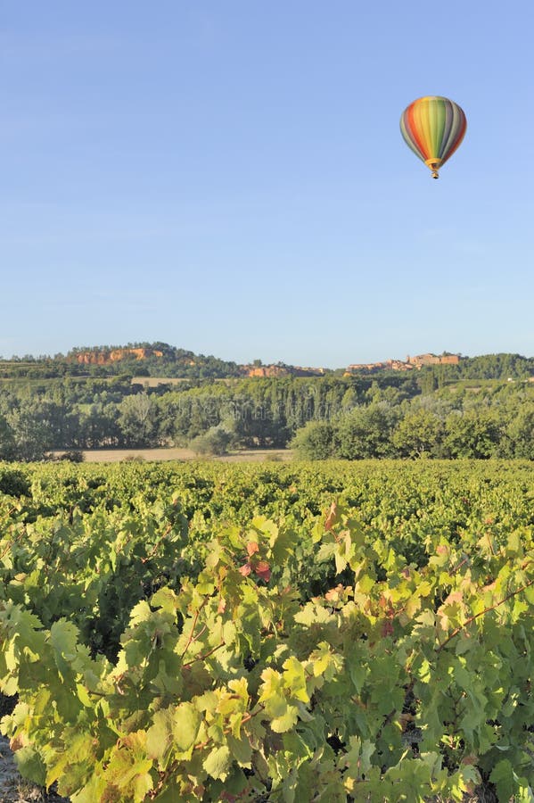 Hot Air Balloon Over Vineyard Stock Image Image of provence, flying