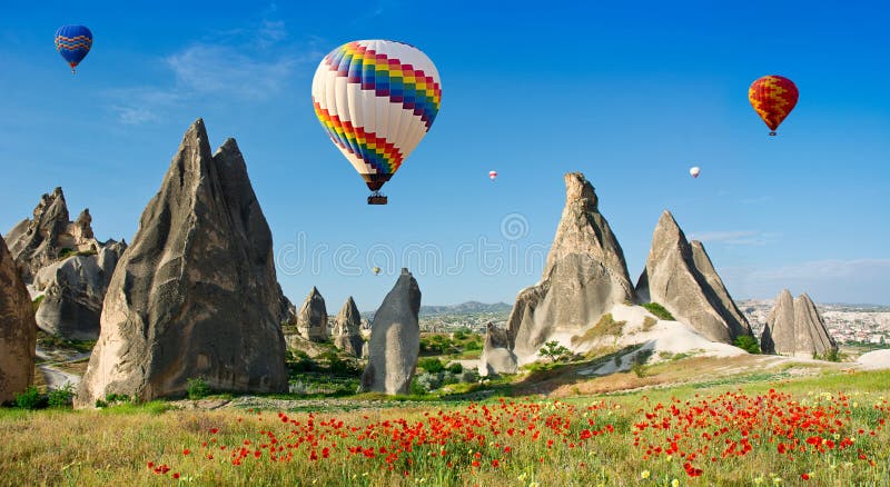 Hot air balloons flying over a field of poppies, Cappadocia, Turkey