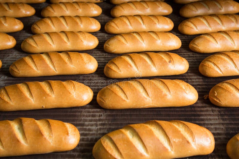 Hot baked breads on a line stock photo. Image of conveyor 39143926