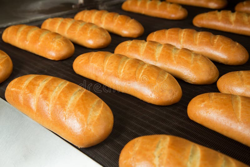 Hot baked breads on a line stock image. Image of manufacturing 39143787