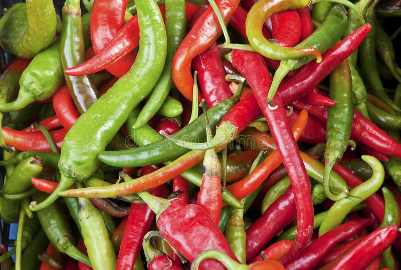 Hot chili stock image. Image of vegetable, pain, chili 26980283