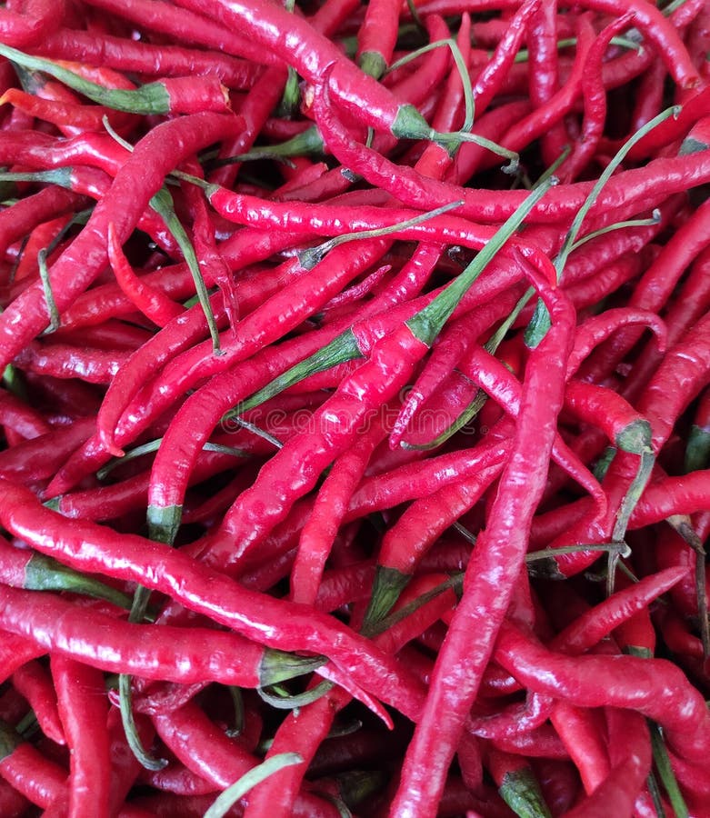 The Chili Pepper Restaurant Sign Editorial Image Image of commerce