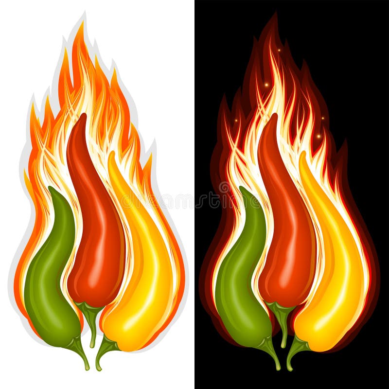 Hot chilli pepper in the shape of fire