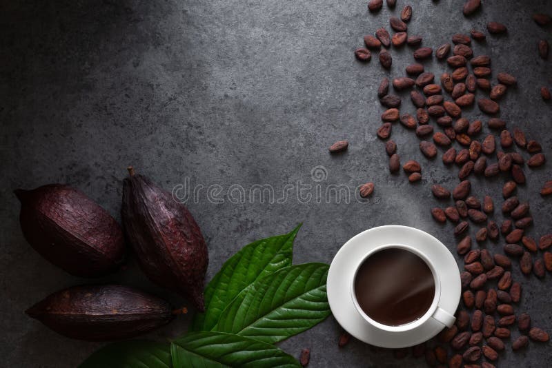Cocoa Top view