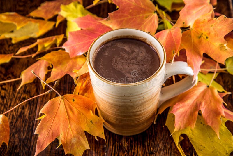 Caldo cioccolato tazza  tazza declino bellissimo colorato declino foglie da un arancia sul legna.