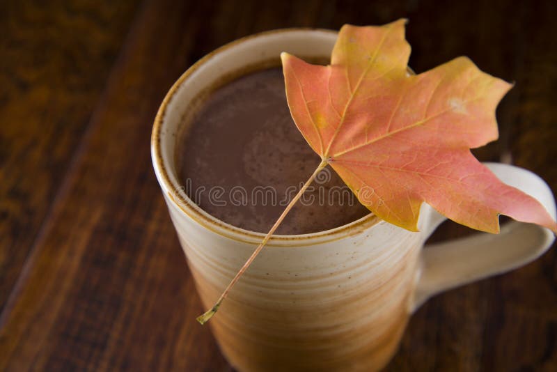 Hot Chocolate in the Fall stock image. Image of outdoor 91469817