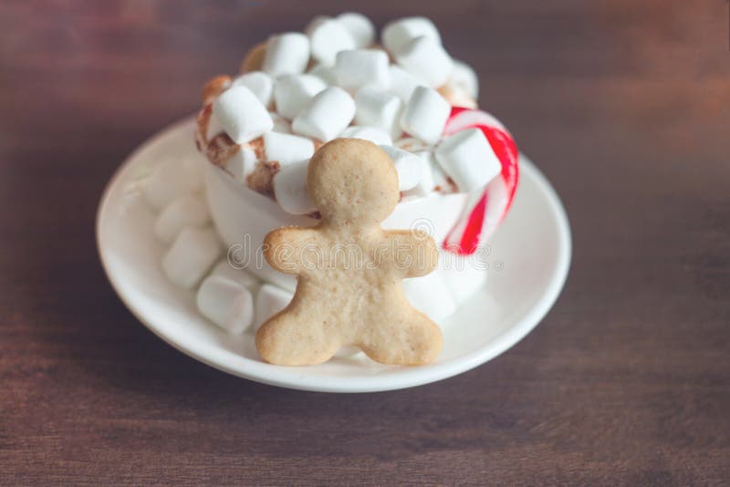 Hot chocolate with marshmallow and candy cane and gingerbread cookie conceppt, copy space, happy new year and xmas 2018 treats. royalty free stock image Hot chocolate with marshmallow and candy cane and gingerbread cookie conceppt, copy space, happy new year and xmas 2018 treats. royalty free stock image