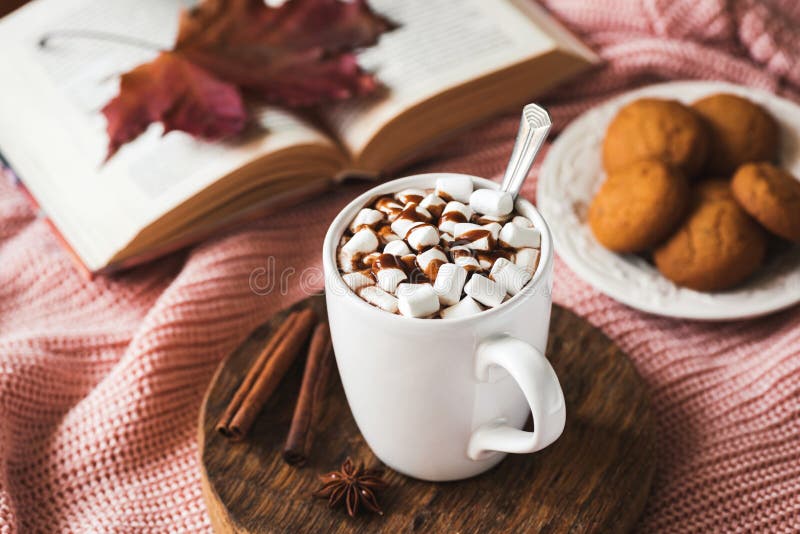 Hot chocolate with marshmallows