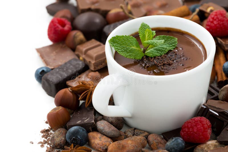 hot chocolate with mint in a cup and ingredients, isolated