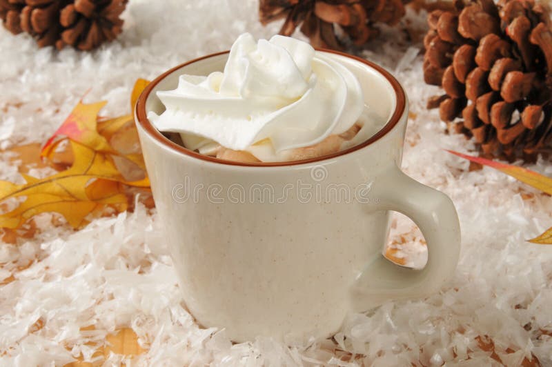 314 Thermos Hot Chocolate Stock Photos - Free & Royalty-Free Stock Photos  from Dreamstime