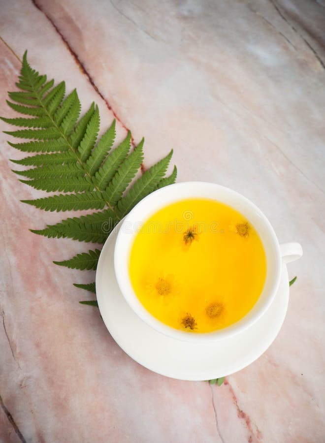 Hot Chrysanthemum Tea. Drink for Healthy Concept Stock Image Image of
