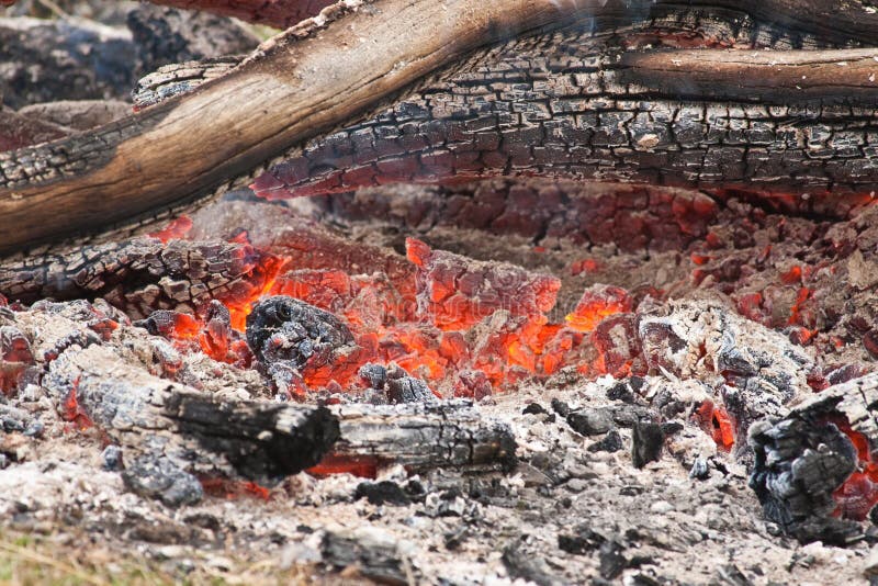 Hot Coals stock photo. Image of camp, bake, heat, australia 21196448