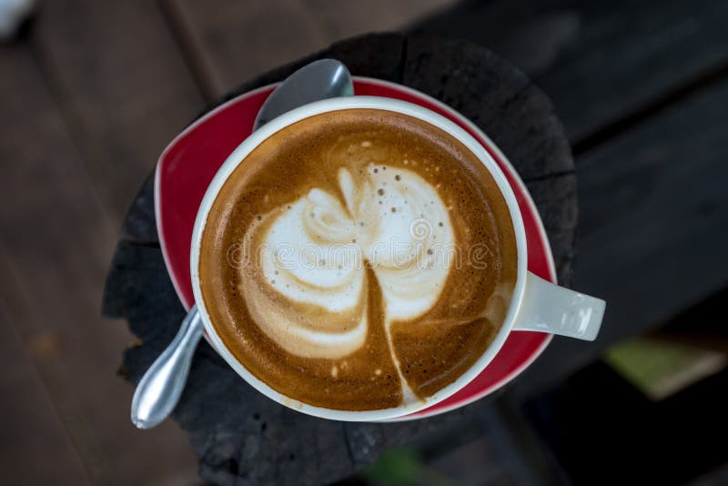 Hot Coffee in a Cup on a Plate Isolated Stock Photo Image of healthy