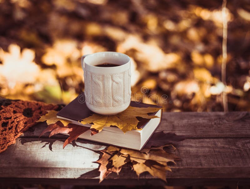 Hot coffee and red book with autumn leaves on wood background - seasonal relax concept royalty free stock photos