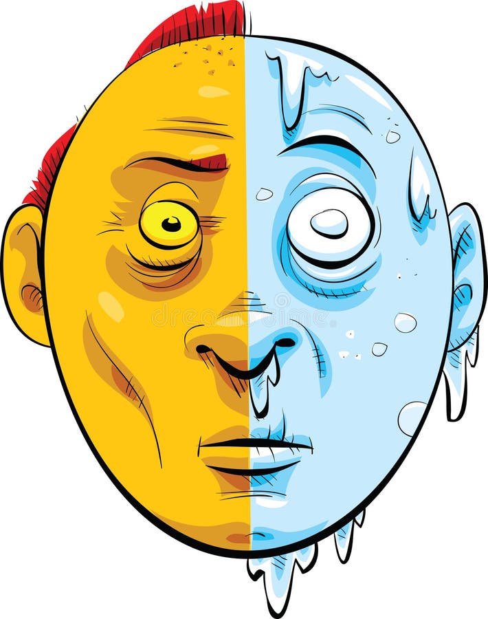 Hot And Cold Face Stock Illustration Image 41571512