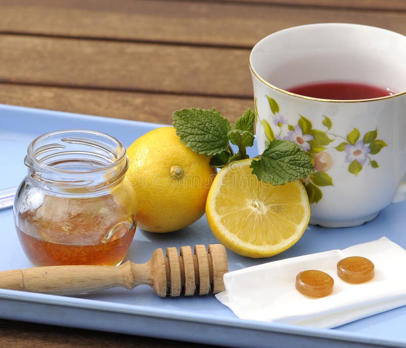 Hot cup of tea with herbs stock photo. Image of medicinal 9077748