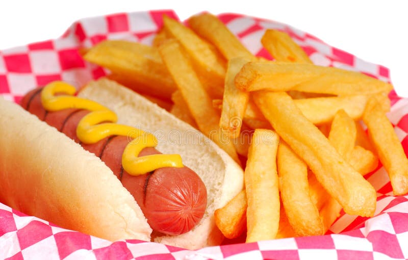 Hot dog with fries stock image. Image of marks, grill 11935617