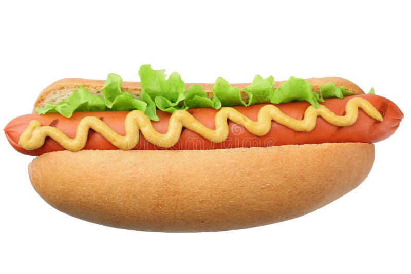 Hot dog grill with lettuce and mustard isolated on white background. fast food royalty free stock image Hot dog grill with lettuce and mustard isolated on white background. fast food royalty free stock image