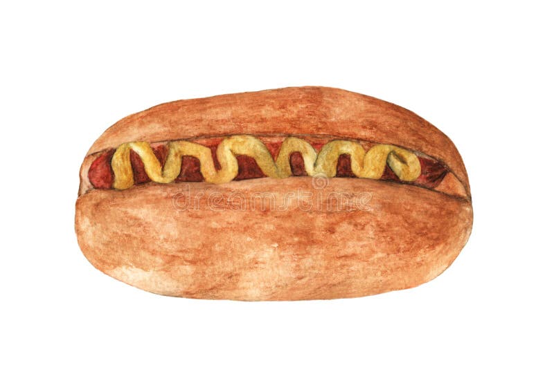 Hot dog with mustard isolated on white background. vector illustration