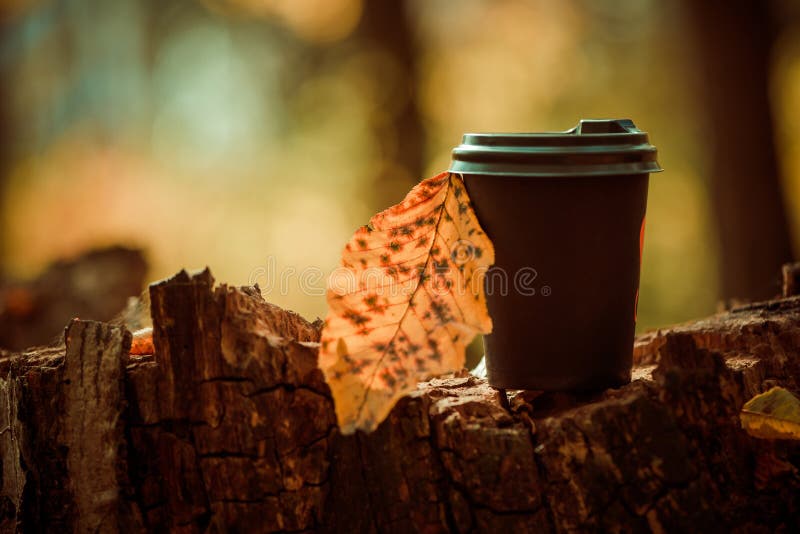 Cup of hot drink placed on colorful fall leafs over tree bark texture. Cup of hot drink placed on colorful fall leafs over tree bark texture