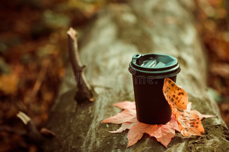 Cup of hot drink placed on colorful fall leafs over tree bark texture. Cup of hot drink placed on colorful fall leafs over tree bark texture