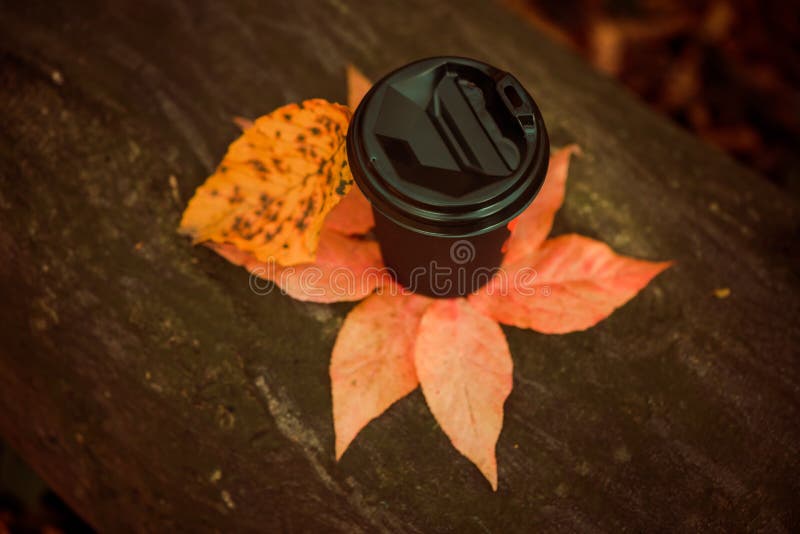 Cup of hot drink placed on colorful fall leafs over tree bark texture. Cup of hot drink placed on colorful fall leafs over tree bark texture