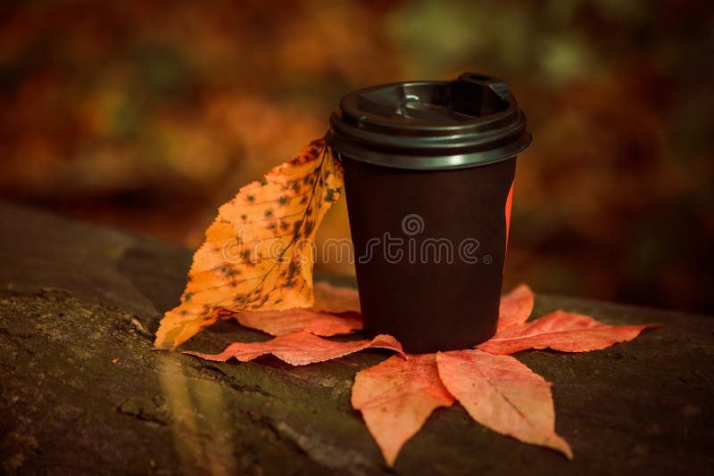 Cup of hot drink placed on colorful fall leafs over tree bark texture. Cup of hot drink placed on colorful fall leafs over tree bark texture