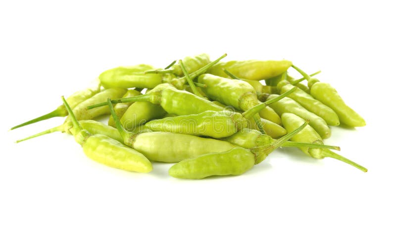 Hot green chili or chilli pepper isolated on white background