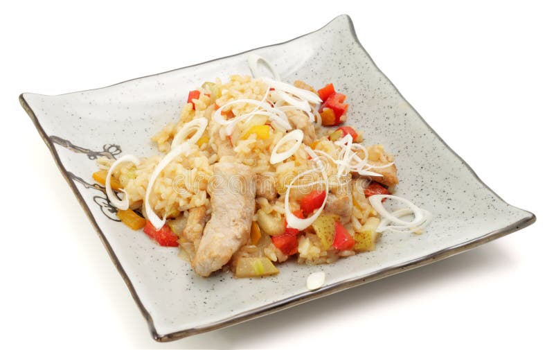 Hot Japan Food on a Plate stock photo. Image of onion 6164450