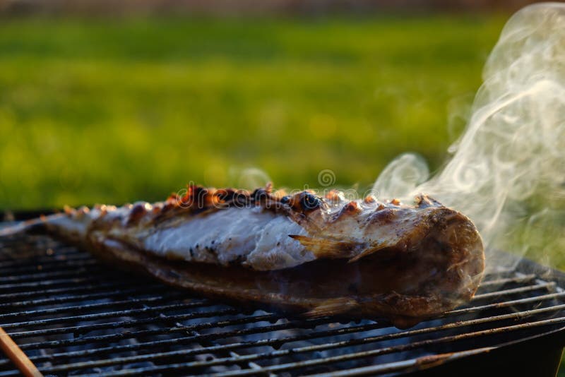 Hot Mackerel Fish on a Grilling Pan, with Herb Spices on Fire Stock