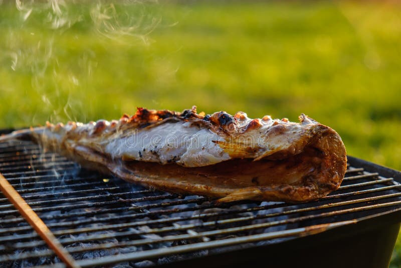 Hot Mackerel Fish on a Grilling Pan, with Herb Spices on Fire Stock
