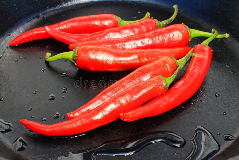 Hot Pepper on a Black Background with Water Drops Stock Photo Image