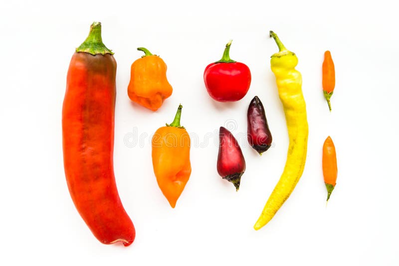 Hot peppers stock photo. Image of organic, spicy, color 78739380