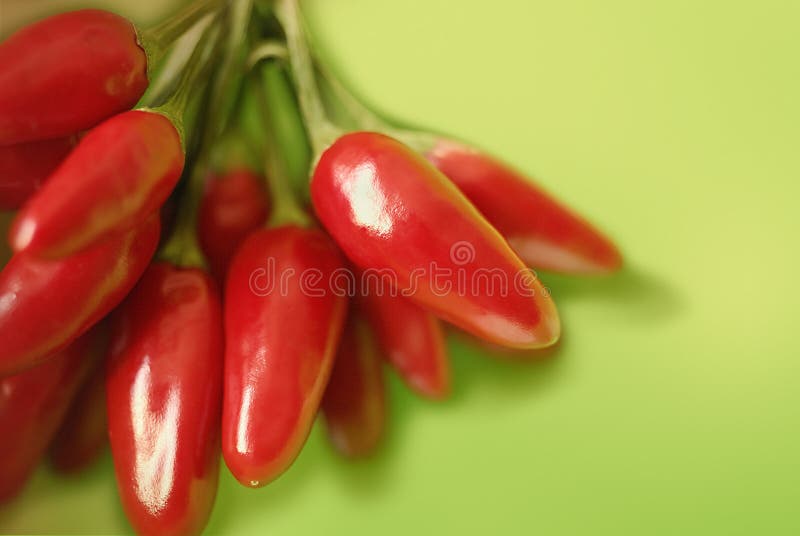 Hot peppers on green stock image. Image of spice, closeup 3320941