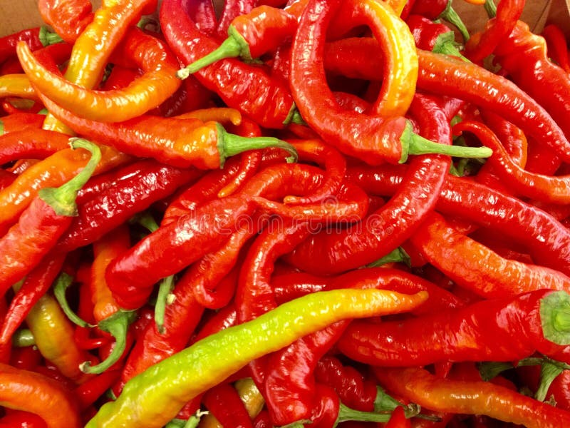 Hot peppers stock image. Image of food, studio, vegetables 21160735