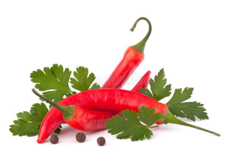 Hot red chili or chilli pepper and parsley leaves still life